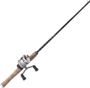 Best Saltwater fishing rod and reel combo