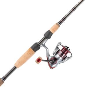 Best fishing rod and reel combo