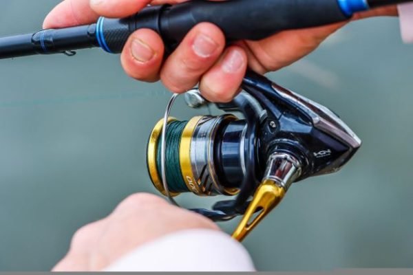 How To Oil Spinning Reel For Optimal Performance