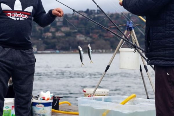 How to Set Up a Spinning Rod for Trout Fishing?