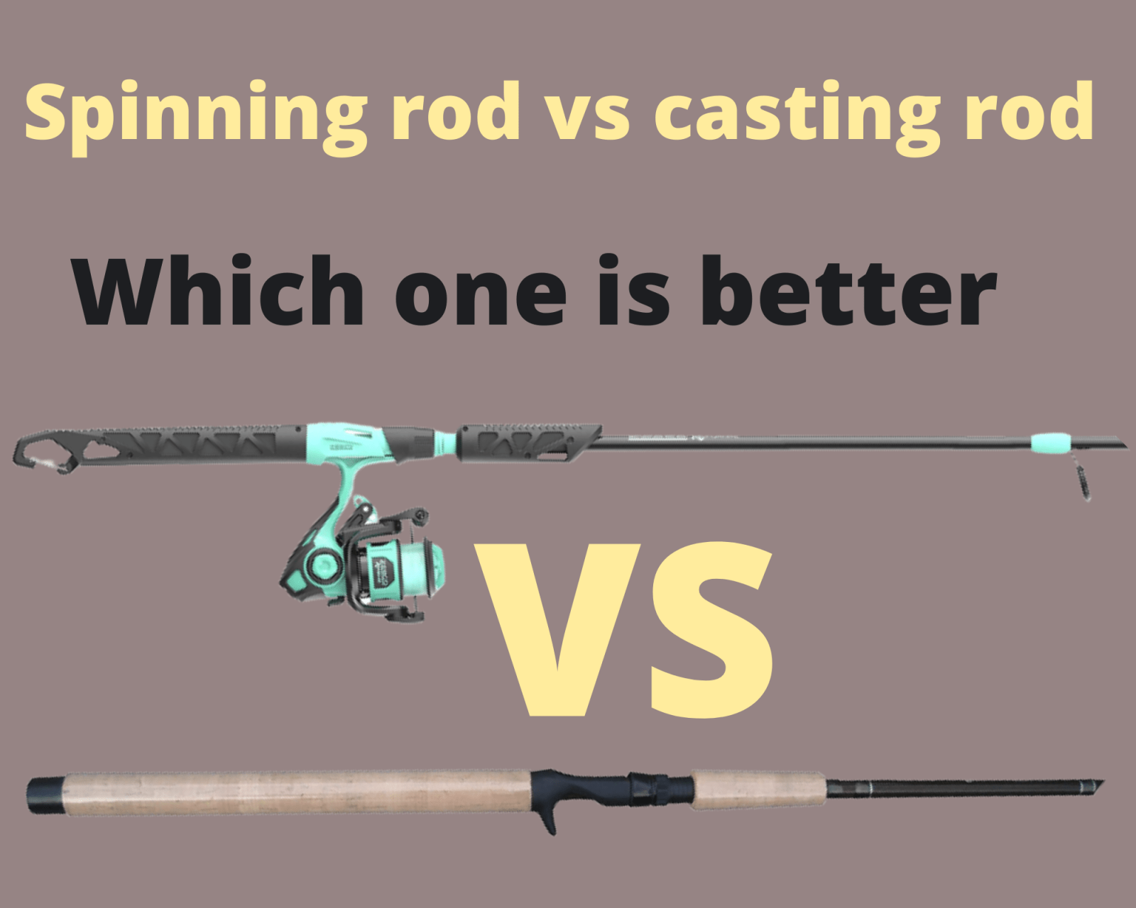 Difference Between Trolling Rod And Spinning Rod