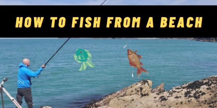 How To Catch Fish At The Beach?