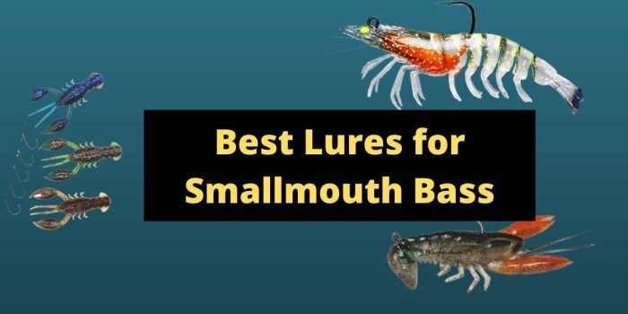 10 Best Smallmouth Bass Lures