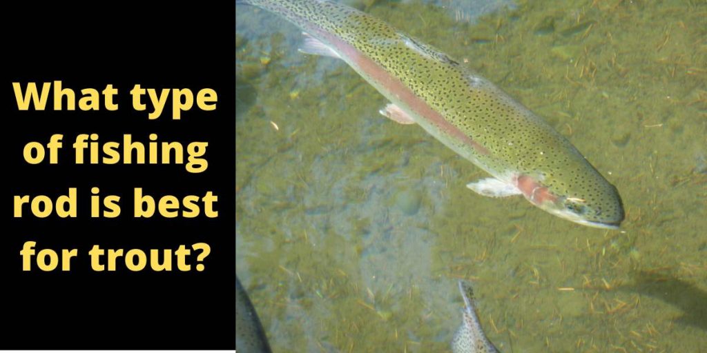 Difference Between Fly Fishing Rod vs Regular Rod in 2022