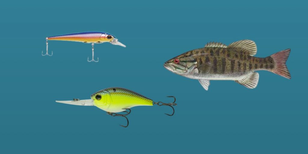 How To Use Crankbaits For Bass StepbyStep Guide