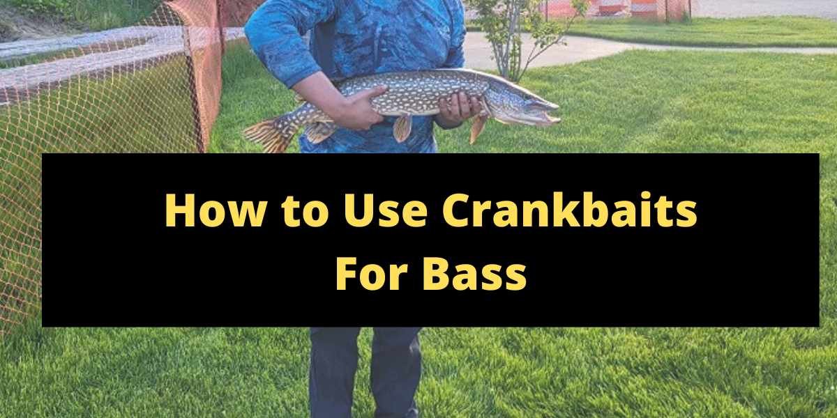 How to Use Crankbaits for Bass (A Simple Guide)