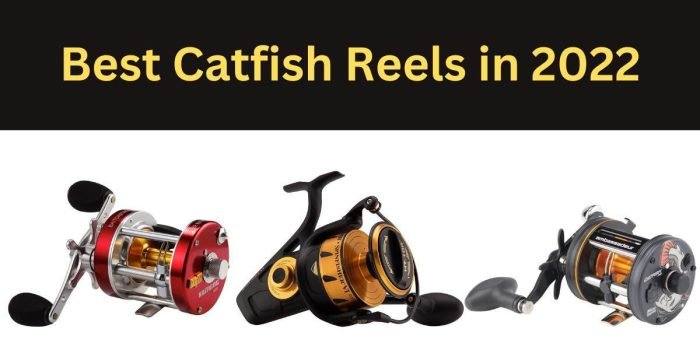 THE 15 BEST CATFISH REELS OF 2023: FIND YOUR PERFECT MATCH
