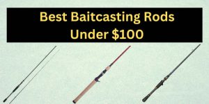 Best Backpacking Spinning Rods 11 Best Backpacking Spinning Rods