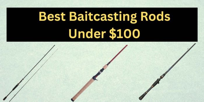 Best baitcasting rods under 100