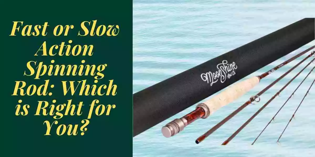 Fast or Slow Action Spinning Rod