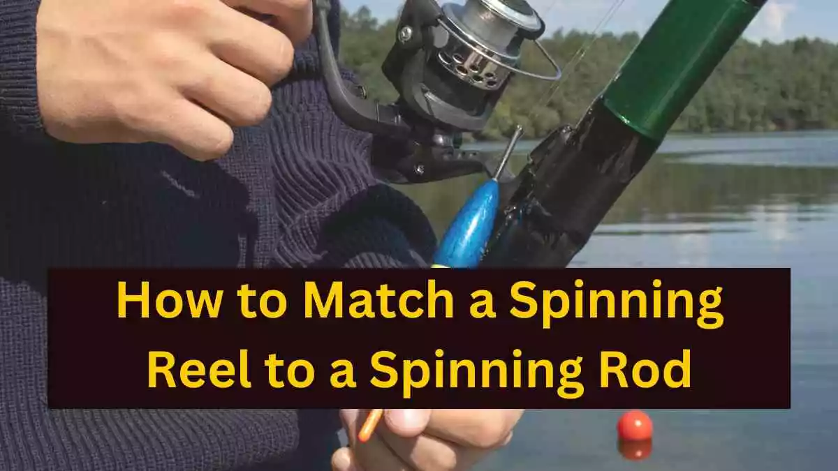 Match a Spinning Reel to a Spinning Rod