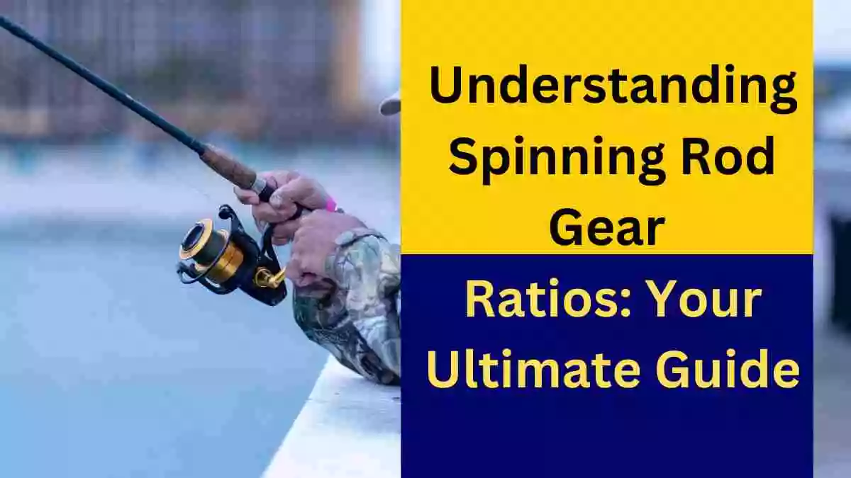 Understanding Spinning Rod Gear Ratios