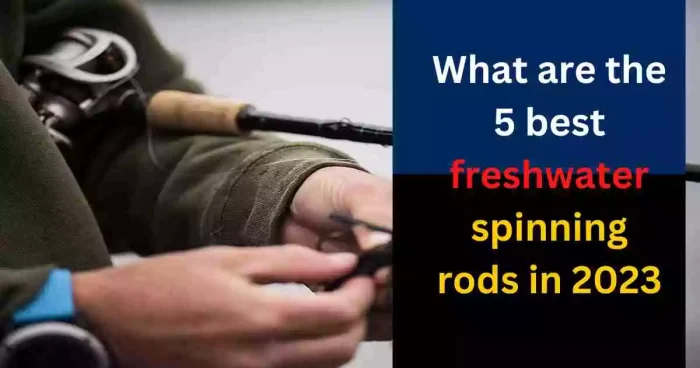What are the 5 best freshwater spinning rods.