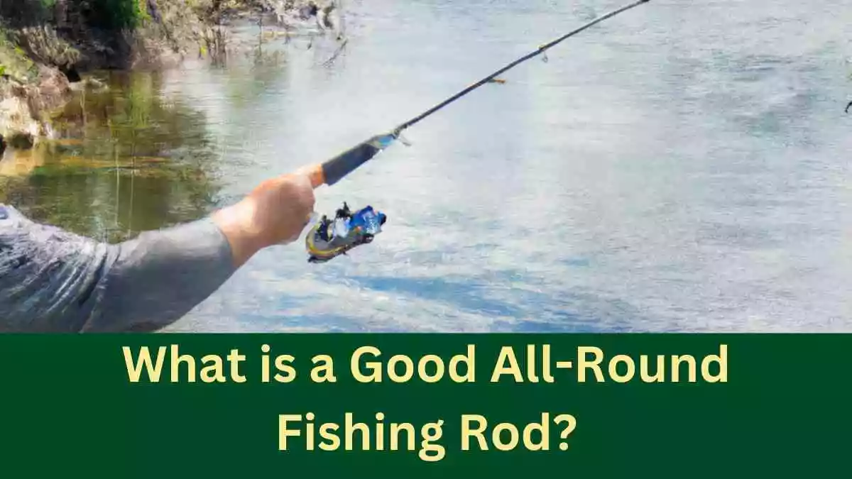 What is a Good All-Round Fishing Rod?