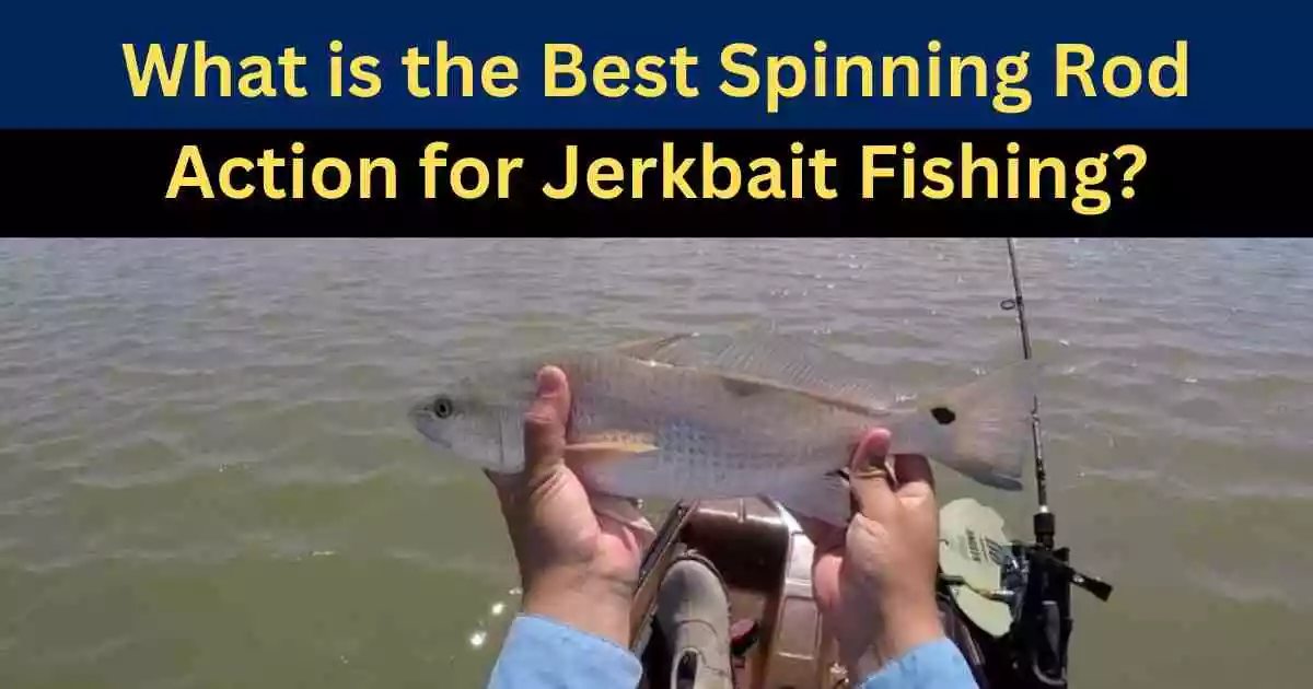 What is the Best Spinning Rod Action for Jerkbait Fishing?