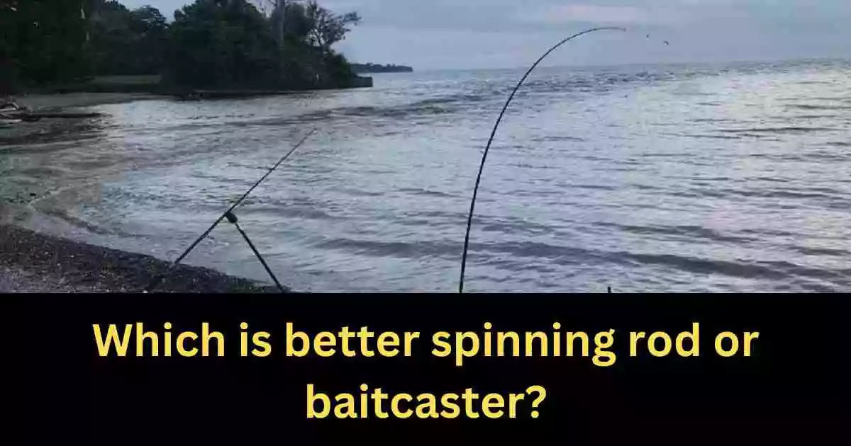 Which is better spinning rod or baitcaster?