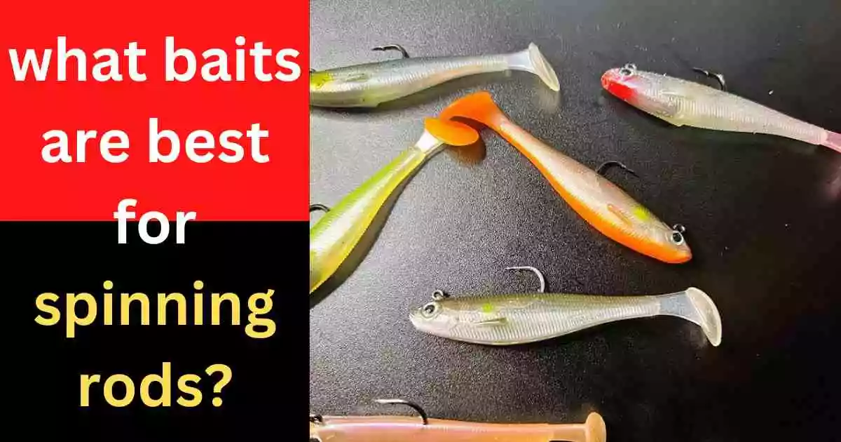what baits are best for spinning rods?