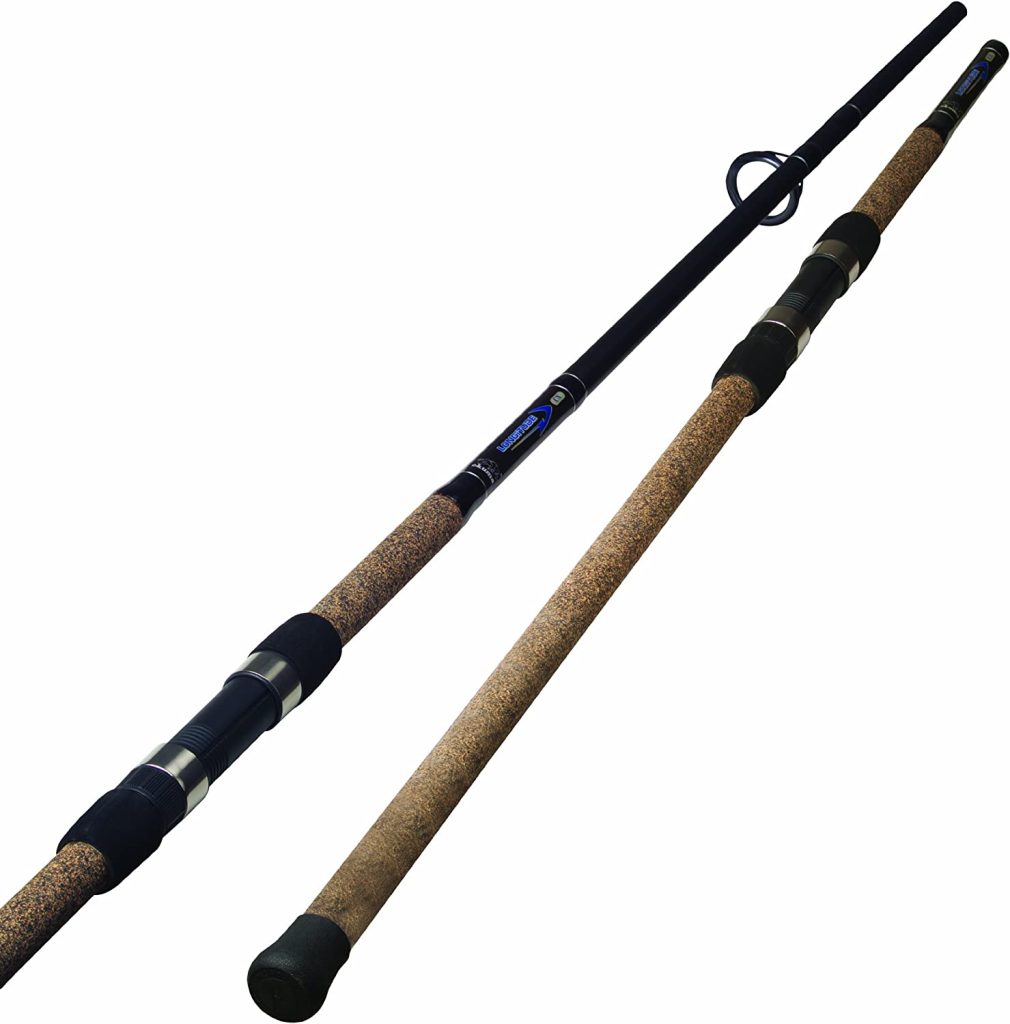 10 Best Surf Fishing Rods For Every Budget In 2023