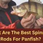 10 Best Spinning Rods for Panfish