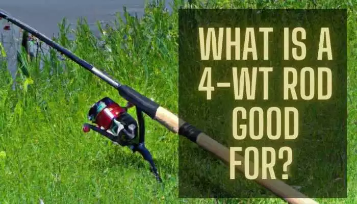 What is a 4-wt rod good for?