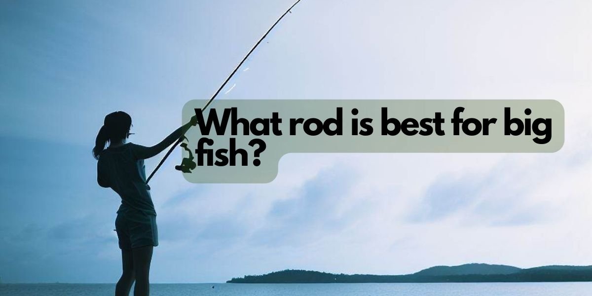 What rod is best for big fish?