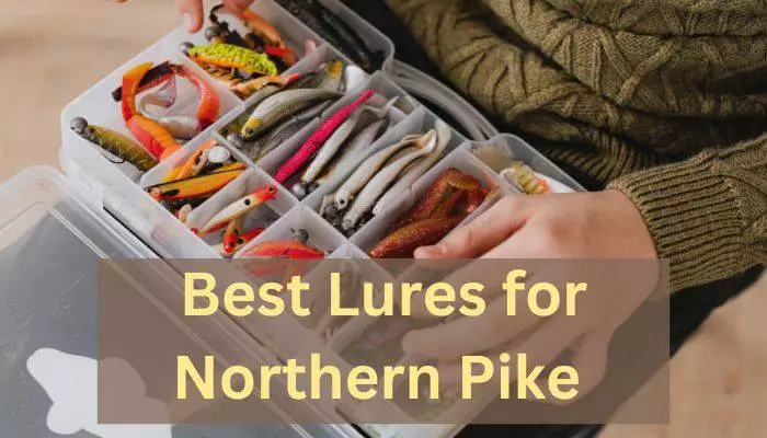 Best Lures for Northern Pike