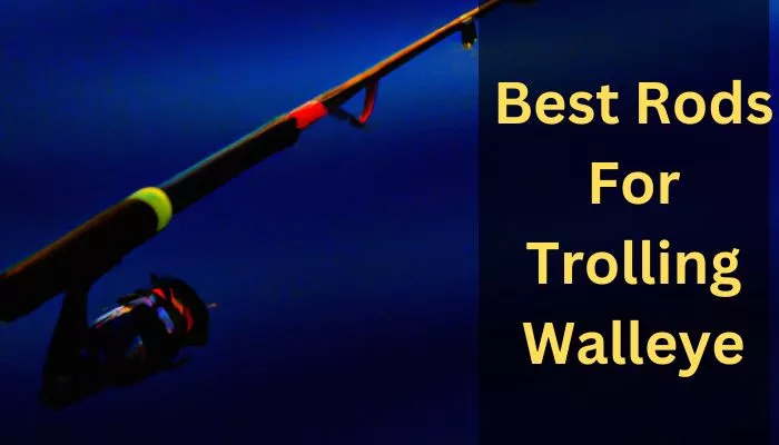 Best Rods For Trolling Walleye