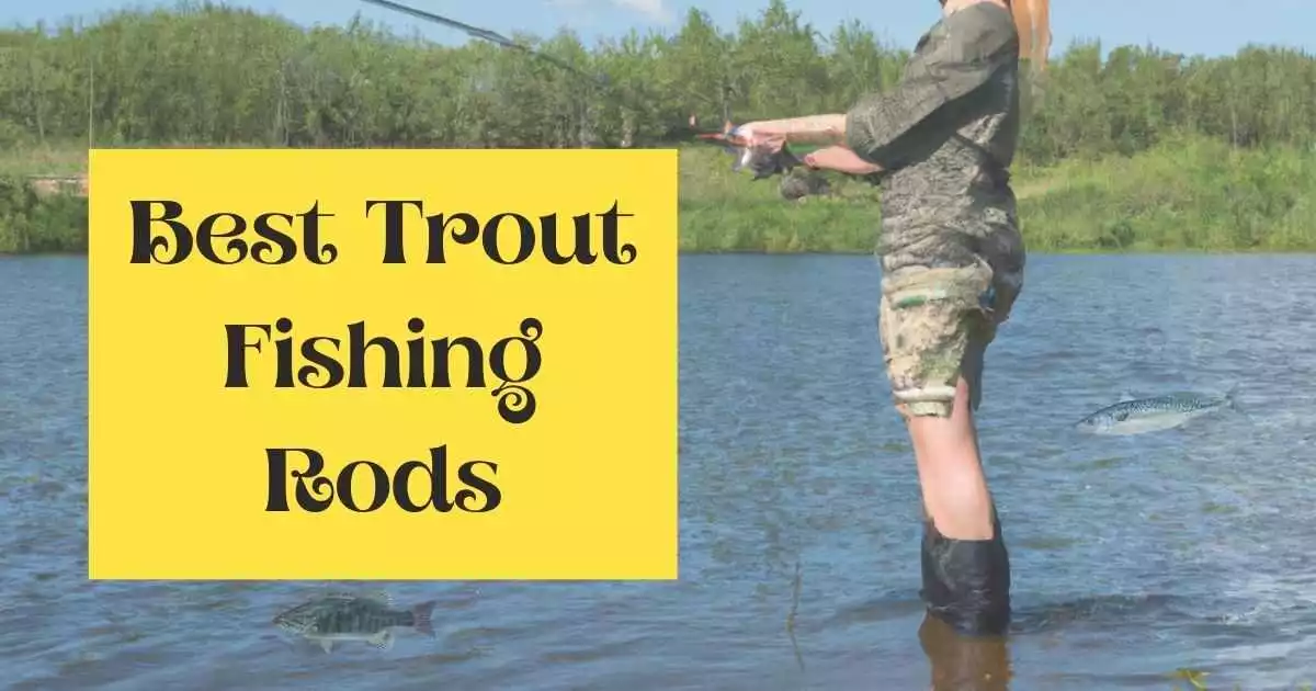 Best Trout Fishing Rods