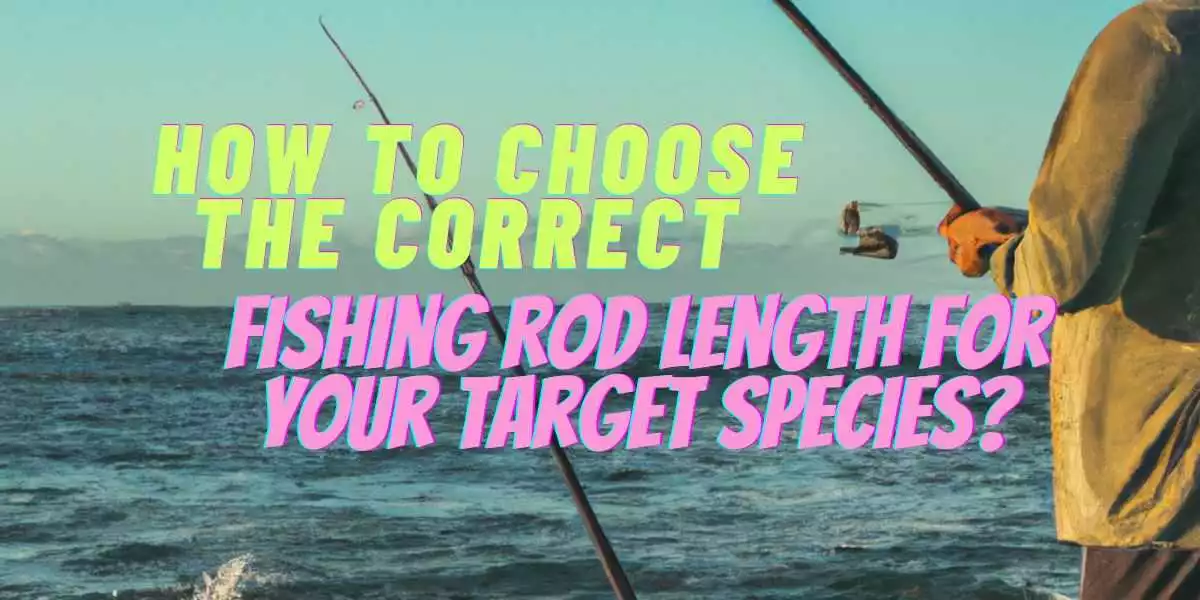 How to Choose the Correct Fishing Rod Length for Your Target Species?