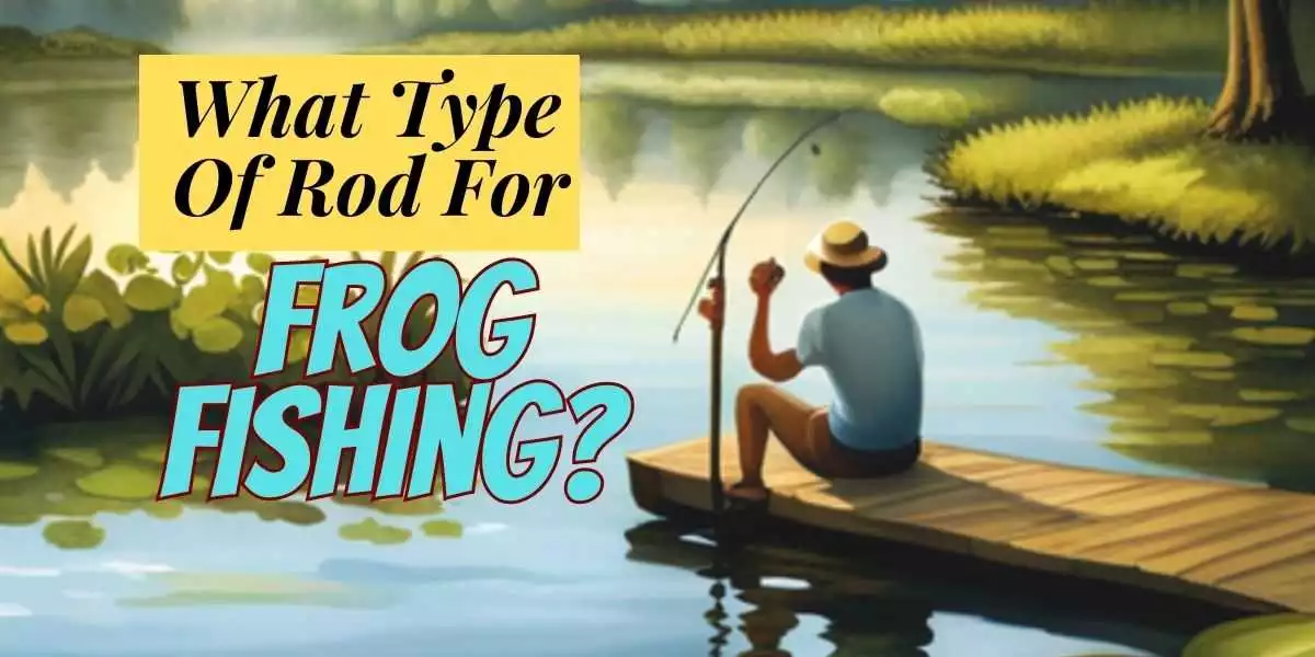 What Type Of Rod For Frog Fishing?