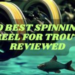 Best Trout Spinning Reels 10 Best Trout Spinning Reels Of 2025: Top Picks And Reel Size Guide