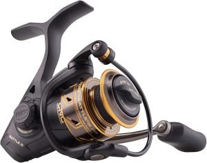 Best Spinning Reel for Trout