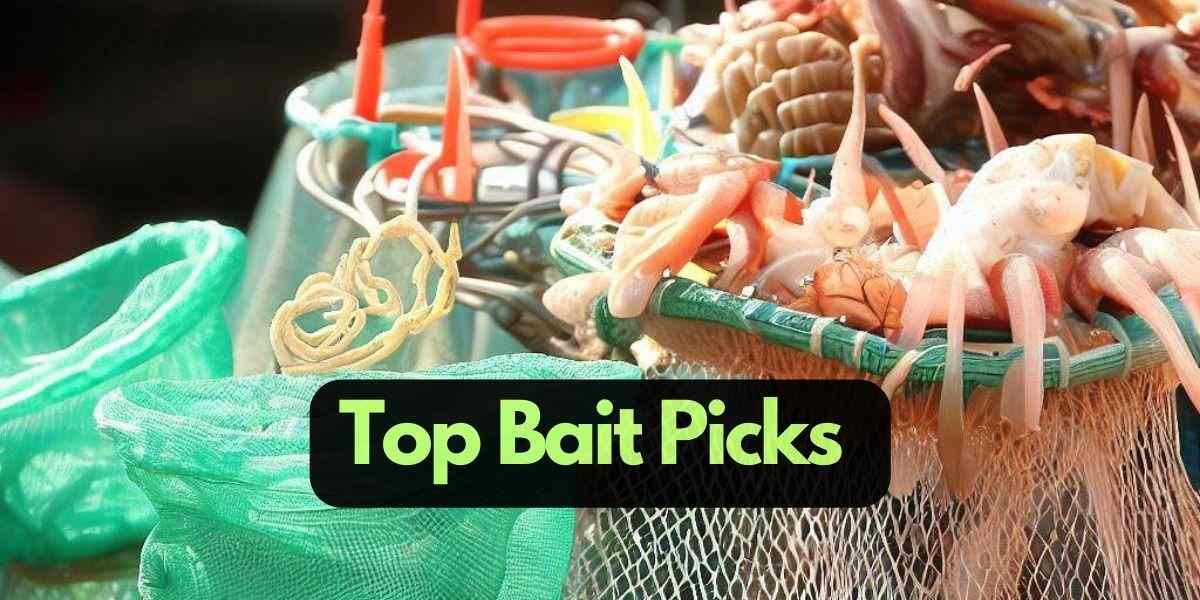 Top 10 Best Crab Bait To Improve Your Crabbing Success
