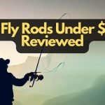 10 Best Fly Rods Under $200 Reviewed In 2023 (Buying Guide)
