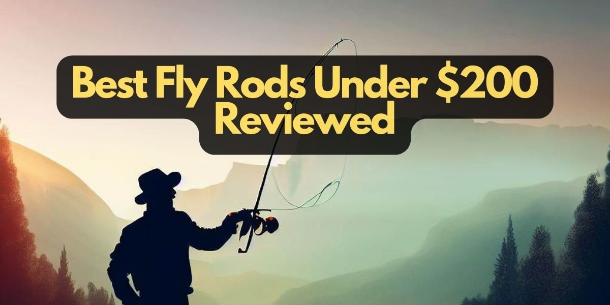 10 Best Fly Rods Under $200: Lightweight & Responsive