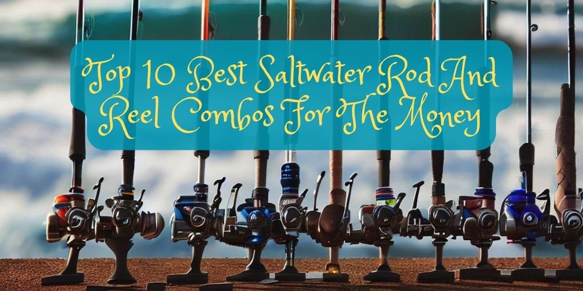 Best Saltwater Rod And Reel Combos For The Money