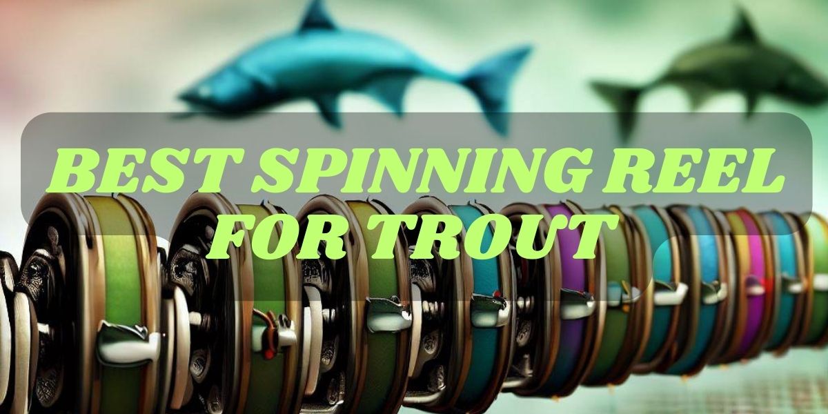 10 Best Spinning Reels For Trout Lightweight & Smooth