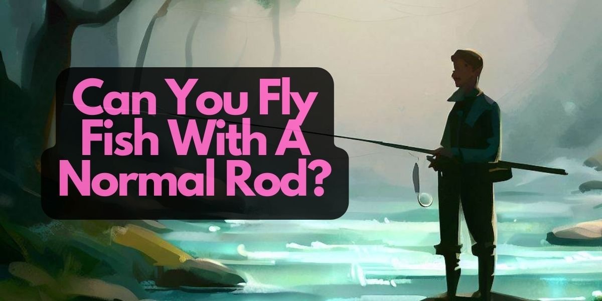 Can You Fly Fish With A Normal Rod