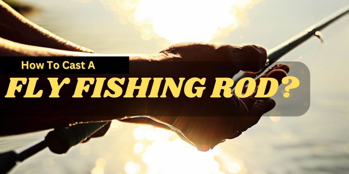 How To Cast A Fly Fishing Rod?