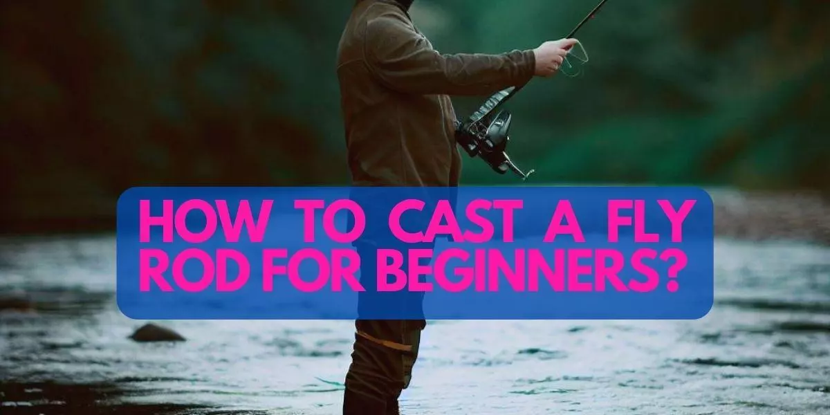 How To Cast A Fly Rod For Beginners?