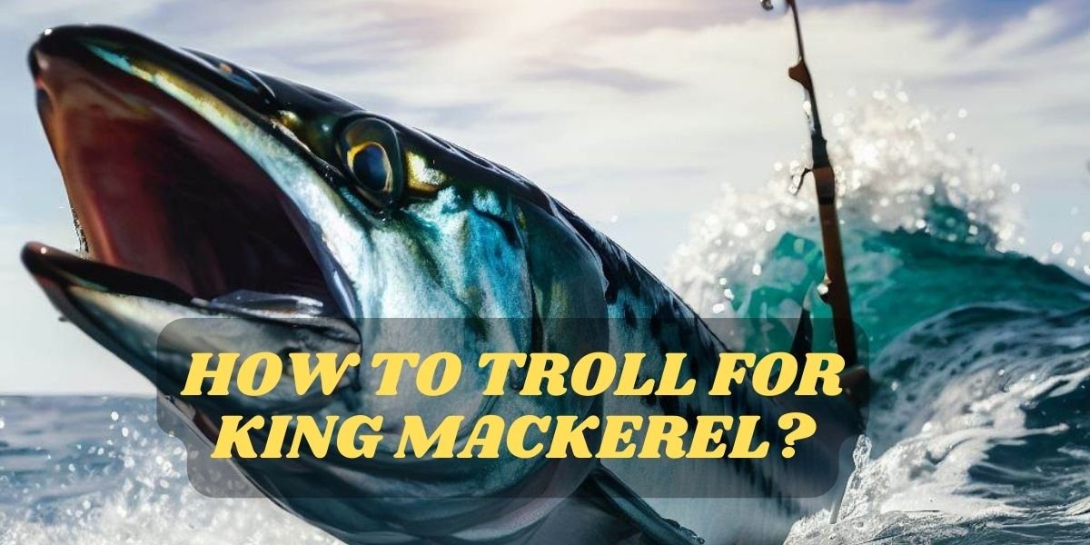 How to Troll for King Mackerel?