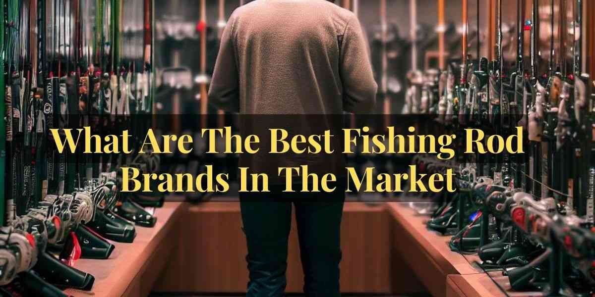 What Are The Best Fishing Rod Brands In The Market