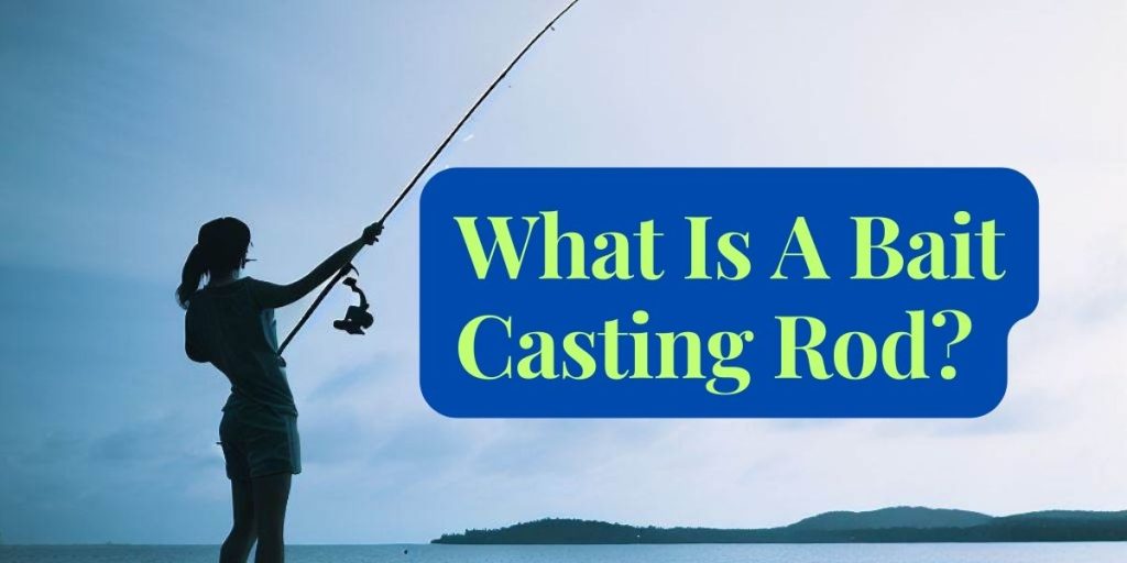 What Is A Bait Casting Rod? Ultimate Fishing Guide