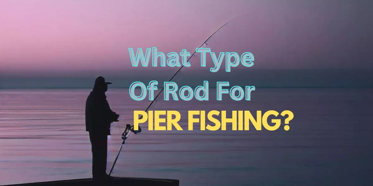 What Type Of Rod For Pier Fishing?