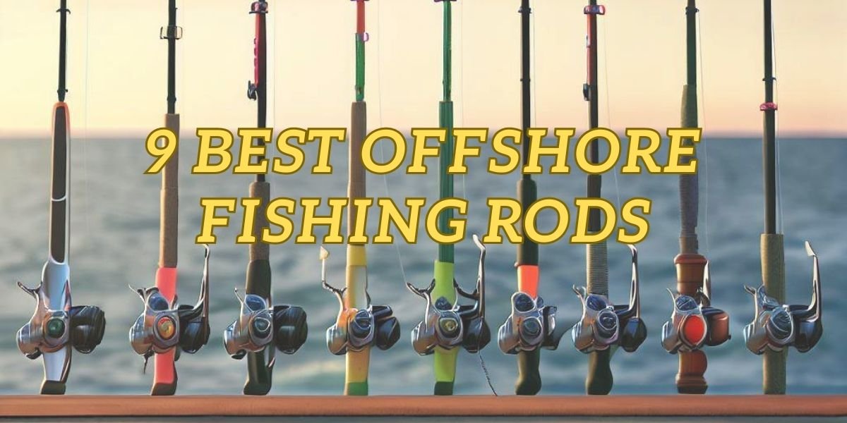 9 Best Offshore Fishing Rods 