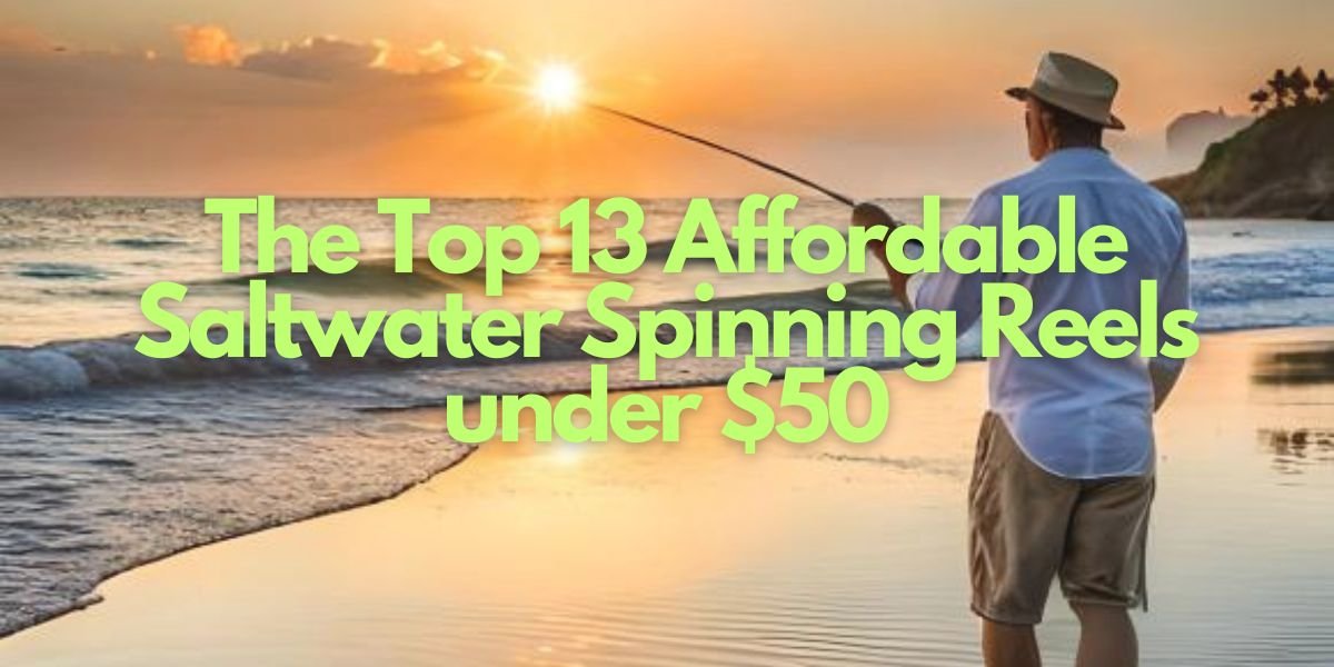The Top 13 Affordable Saltwater Spinning Reels under $50