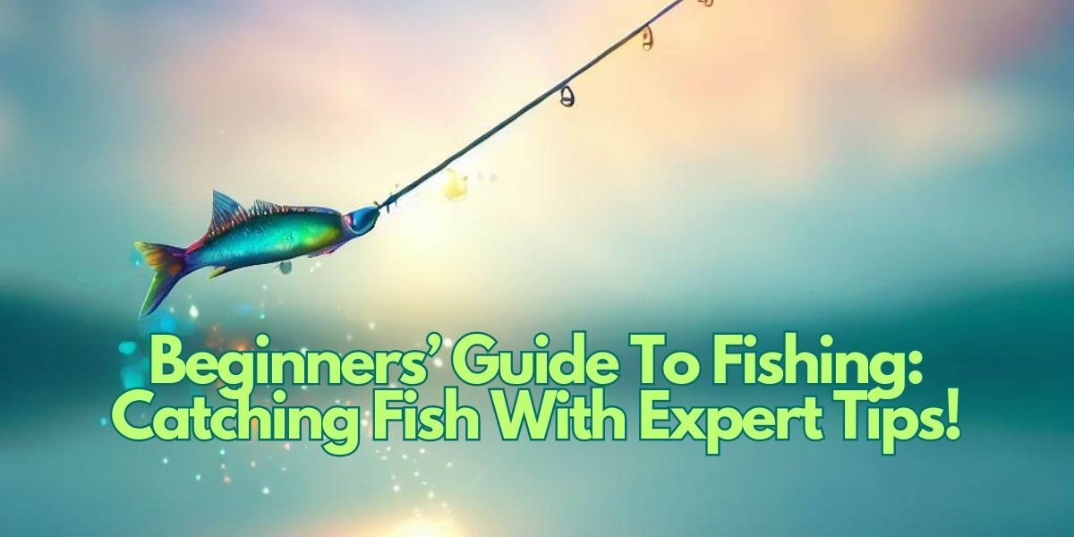 Beginners’ Guide To Fishing: Catching Fish With Expert Tips!