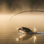 Topwater Fishing Topwater Fishing: Rod Action Impact On Surface Lures